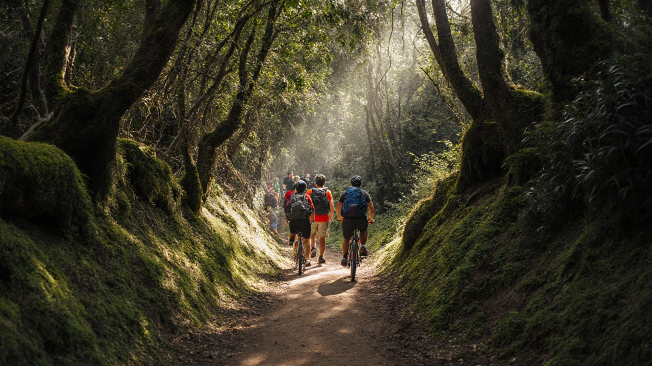 Two smaller groups splitting up on a jungle trail, one hiking, one biking, surrounded by lush greenery.