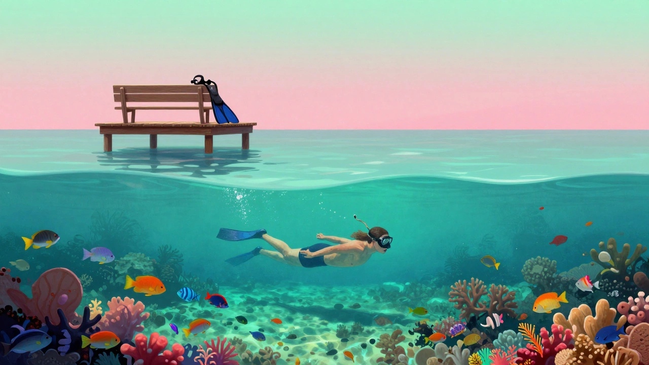 A snorkeler above vibrant coral reefs in St. Vincent, with no tourist infrastructure visible on the shore.