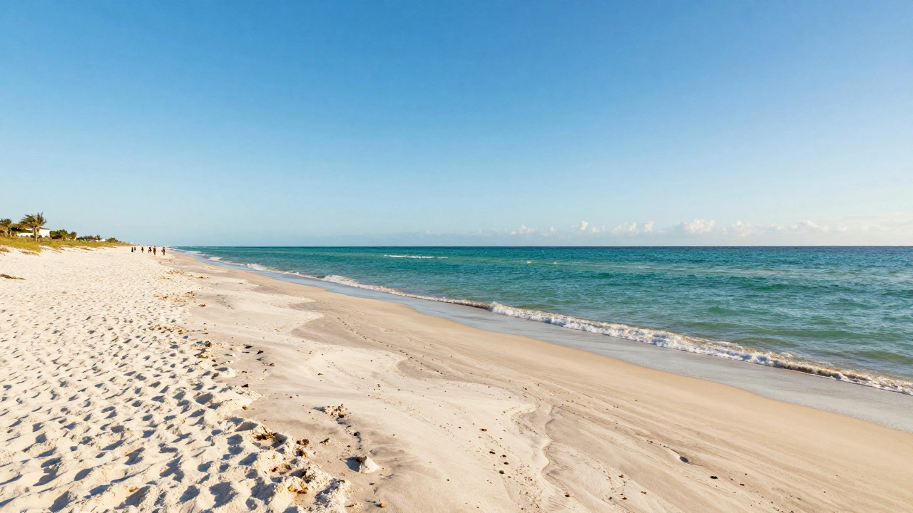 What Is the Nicest Month in Florida? Best Times for Beach Holidays