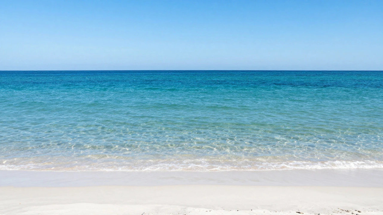 What Beach in SC Has the Bluest Water? Top Spots for 2026