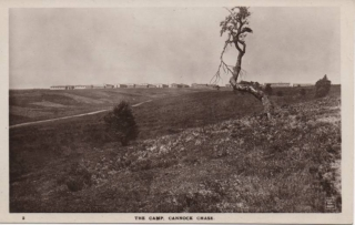 cannock-chase-camp_3