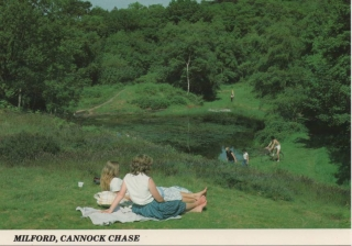 cannock-chase_12