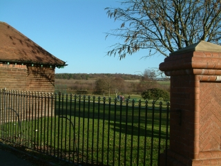 View Of The Park